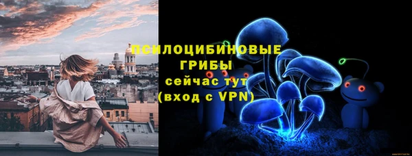 мдпв Заводоуковск