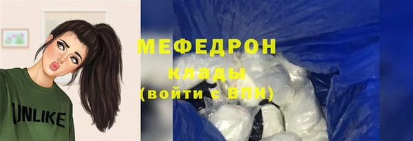 мдпв Заводоуковск