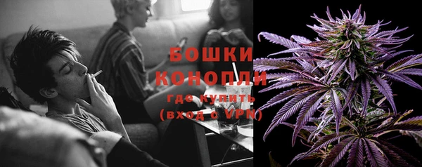 мдпв Заводоуковск